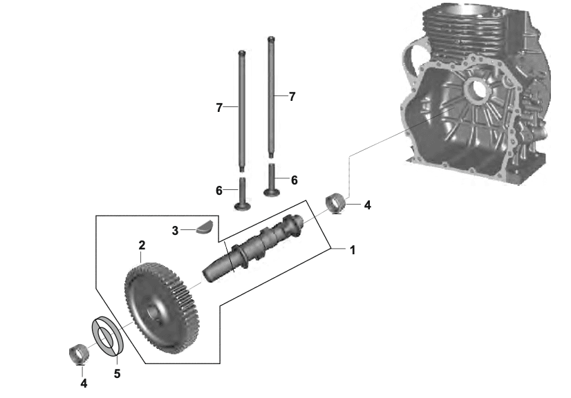 CAM SHAFT ASSEMBLY