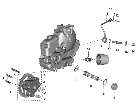 Oil Pump Assembly