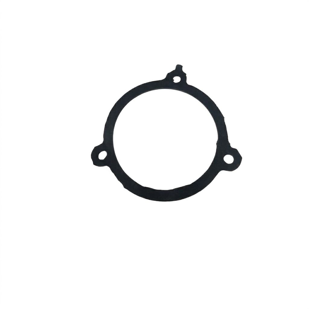 Gasket Hub Drive