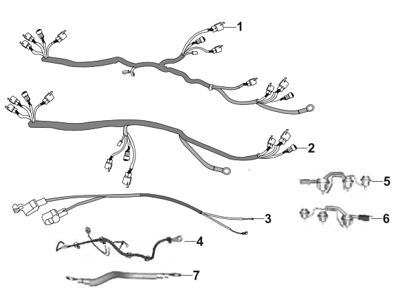 Harness Wiring