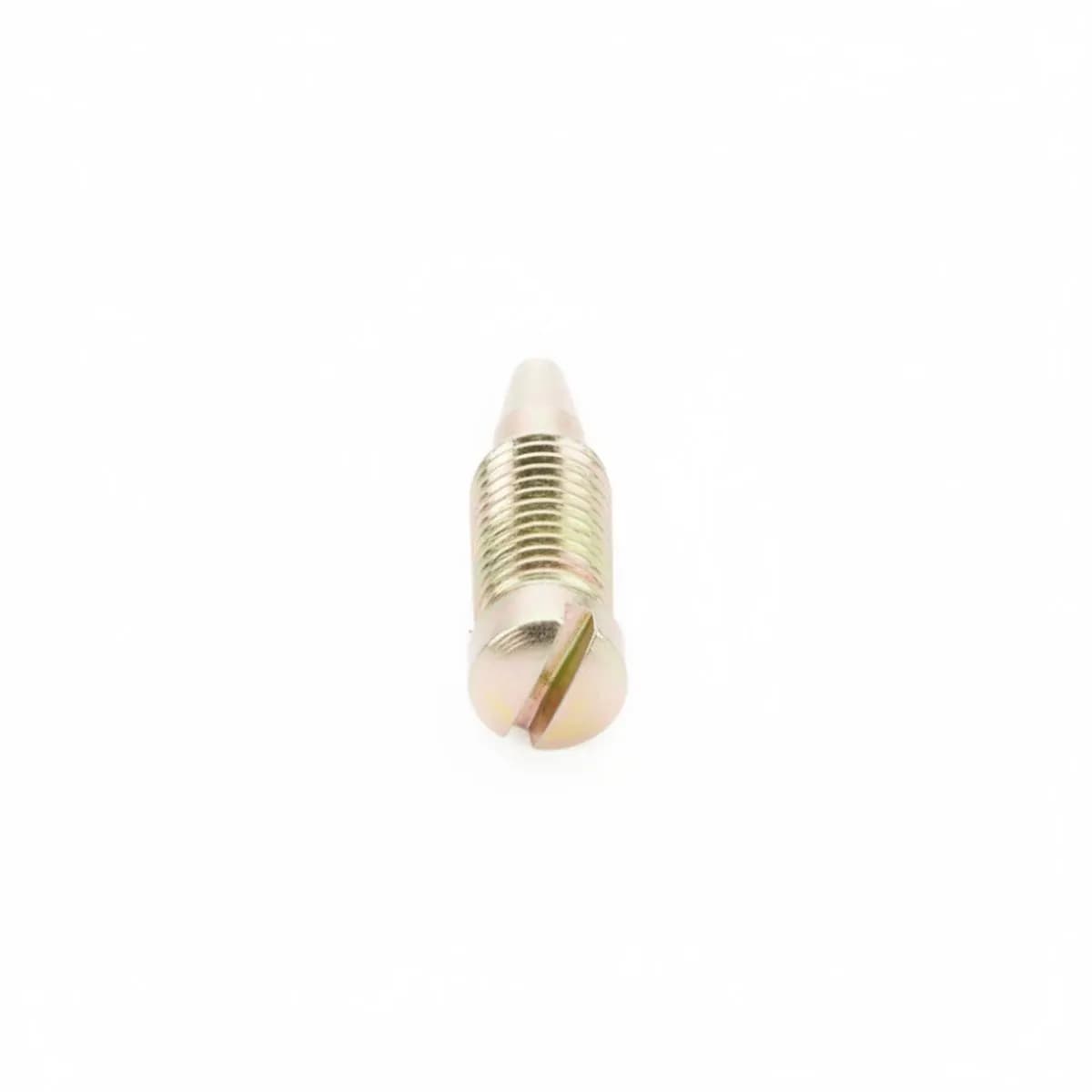 Drain Screw
