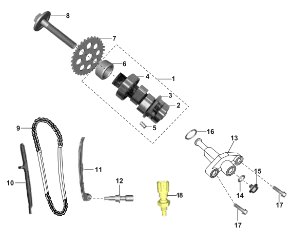 Camshaft and Chain Tensioner