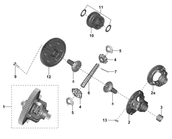Differential Assembly
